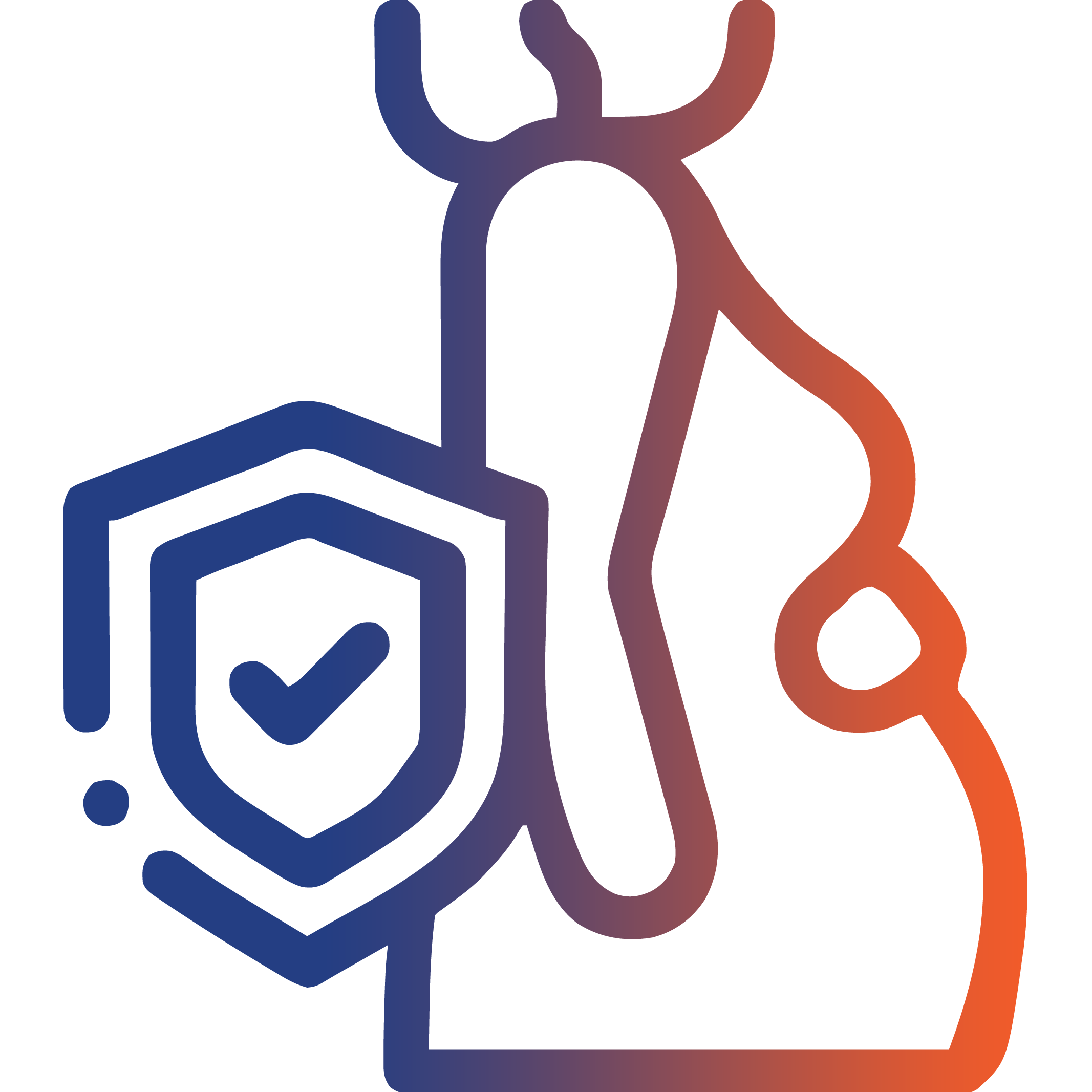 Maternity Health Insurance